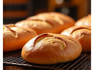Freshly baked artisan breads with scored tops, cooling on a wire rack in a warm, rustic bakery environment.